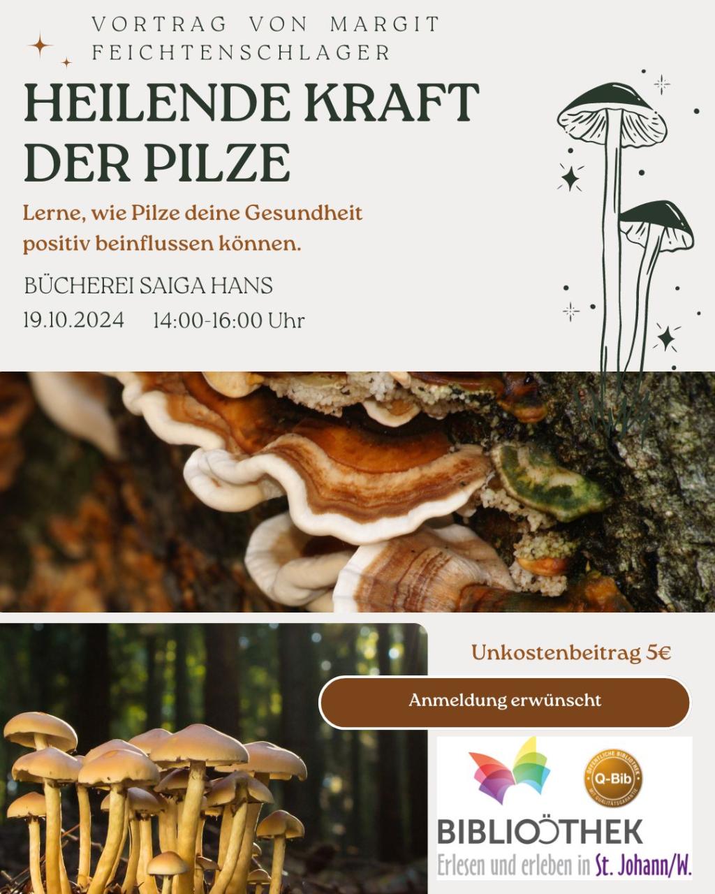 Vortrag Heilende Kraft der Pilze