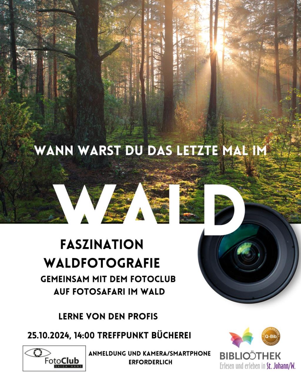 Workshop Waldfotografie