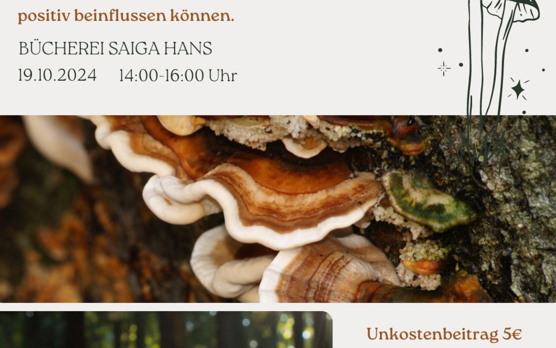 Vortrag Heilende Kraft der Pilze