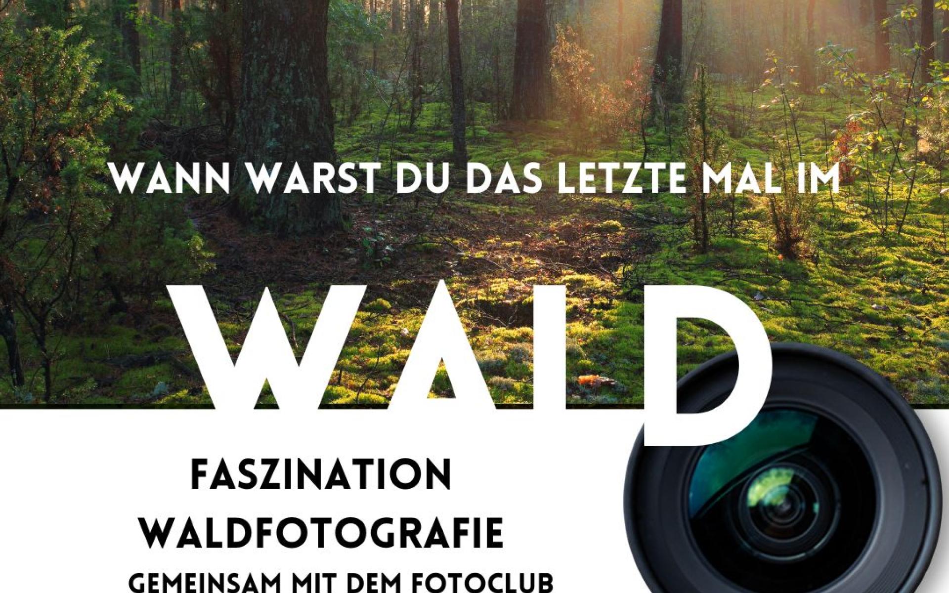 Workshop Waldfotografie