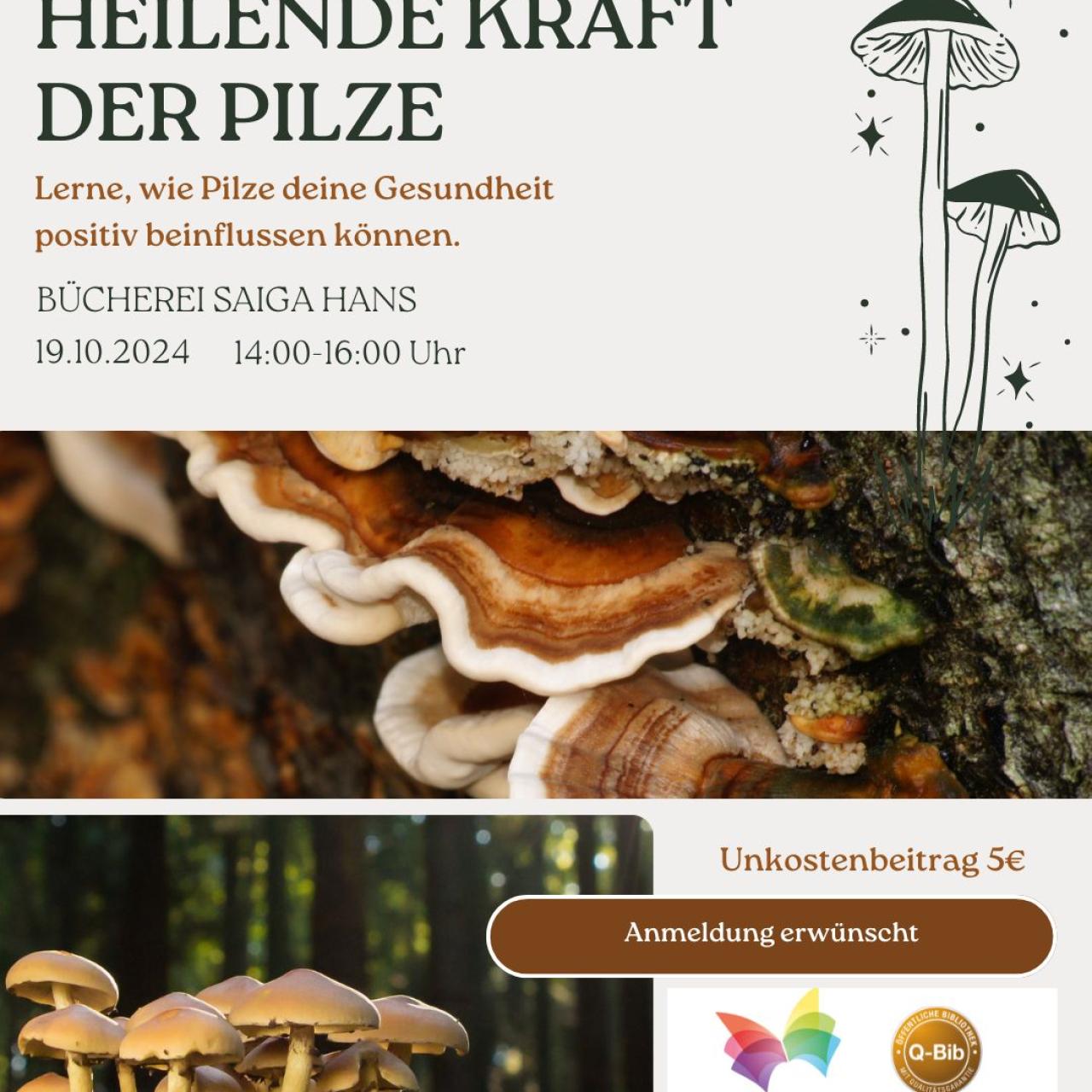 Vortrag Heilende Kraft der Pilze