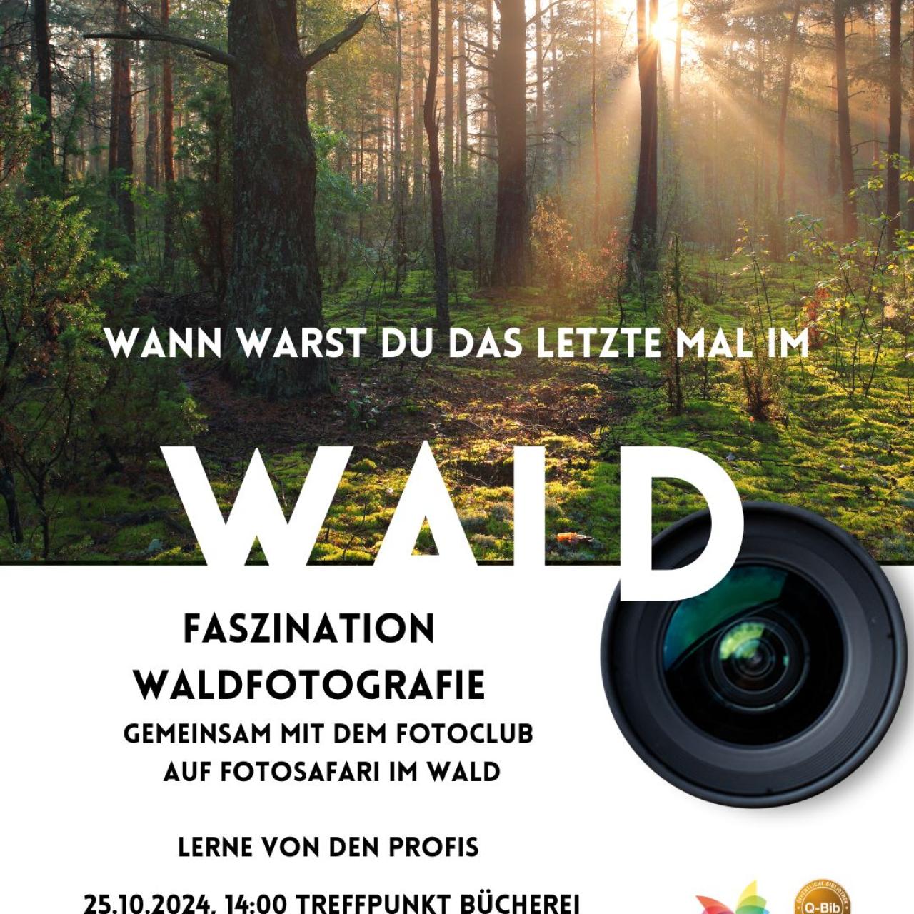 Workshop Waldfotografie